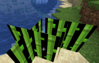 weirdsugarcane.png
