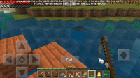 Screenshot_2020-01-23-17-25-39-234_com.mojang.minecraftpe.jpg