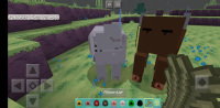 Screenshot_20200129-093440.jpg