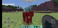 Screenshot_20200129-093408.jpg