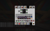 2020-02-05_15.20.30_2.png