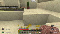 Minecraft_20200205234039.jpg