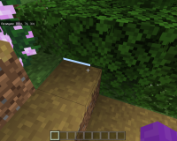 Minecraft 08.02.2020 19_36_14.png