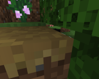 Minecraft 08.02.2020 19_42_23.png