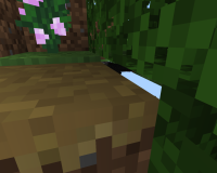 Minecraft 08.02.2020 19_42_18.png