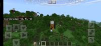 Screenshot_2020-02-13-09-25-10-614_com.mojang.minecraftpe.jpg