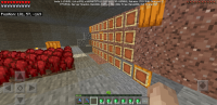 Screenshot_20200214-003728_Minecraft.jpg