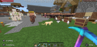 Screenshot_20200213-085628_Minecraft.jpg