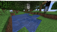 Image_1.png