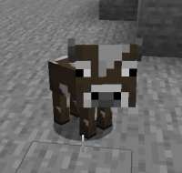 screenshot-1.png