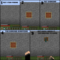 Bug.jpg