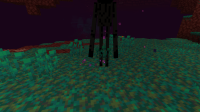 2020-02-21_21.02.07.png