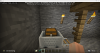 Minecraft 2_22_2020 5_49_12 PM.png