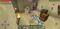 Screenshot_20200224-193959_Minecraft.jpg