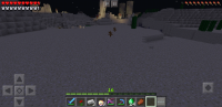 Screenshot_20200224-193844_Minecraft.jpg