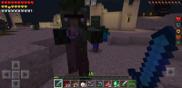 Screenshot_20200224-193253_Minecraft.jpg