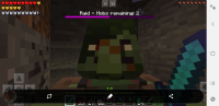 Screenshot_20200224-193206_Minecraft.jpg
