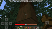 Screenshot_20200229-062229.jpg