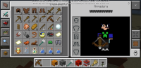 Screenshot_20200229-215825_Minecraft.jpg
