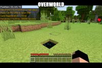 Minecraft 3_1_2020 11_37_55 AM (2).png