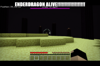 Minecraft 3_1_2020 11_39_40 AM (2).png