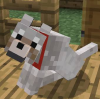 images (16).jpeg