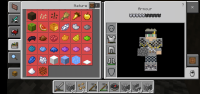 Screenshot_20200317-080417_Minecraft.jpg