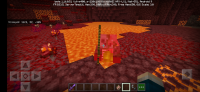 Screenshot_20200317_101831_com.mojang.minecraftpe.jpg