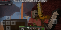 Screenshot_20200318_004731_com.mojang.minecraftpe.jpg