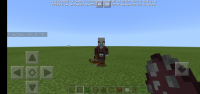 Screenshot_20200317-164429_Minecraft.jpg