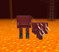 Screenshot (5).png
