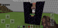 Screenshot_2020-03-27-06-16-29-612_com.mojang.minecraftpe.png