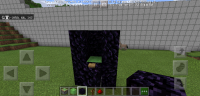 Screenshot_2020-03-27-06-15-01-411_com.mojang.minecraftpe.png