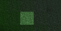 grass-edited.jpg