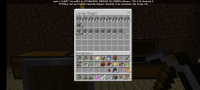 Screenshot_20200416-202951_Minecraft.jpg