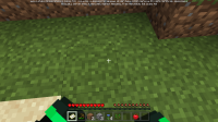 Minecraft Screenshot 2020.04.17 - 00.51.03.36.png