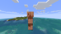 FRONT_SIDE_PIGLIN.png