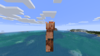 BACK_SIDE_PIGLIN.png
