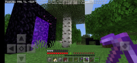bug portal 1.jpeg