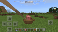 Screenshot_20200422-001854_Minecraft.jpg