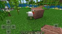 Chicken stuck in polished granite.-1.jpg