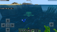 Turtle slow in water-3.jpg