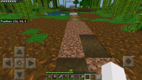 Grass not growing-3.jpg
