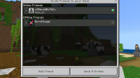 Multiplayer error-2.jpg