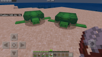 Turtles dont layed eggs.....jpg