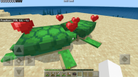 Turtles breeding-1.jpg