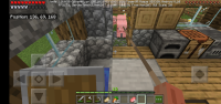 Screenshot_20200425_135248.jpg