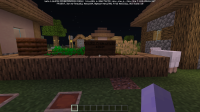 Minecraft (5).png