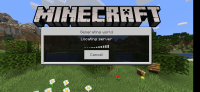 Screenshot_20200426-204631_Minecraft.jpg