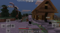 Screenshot_20200427_145055-1.jpg